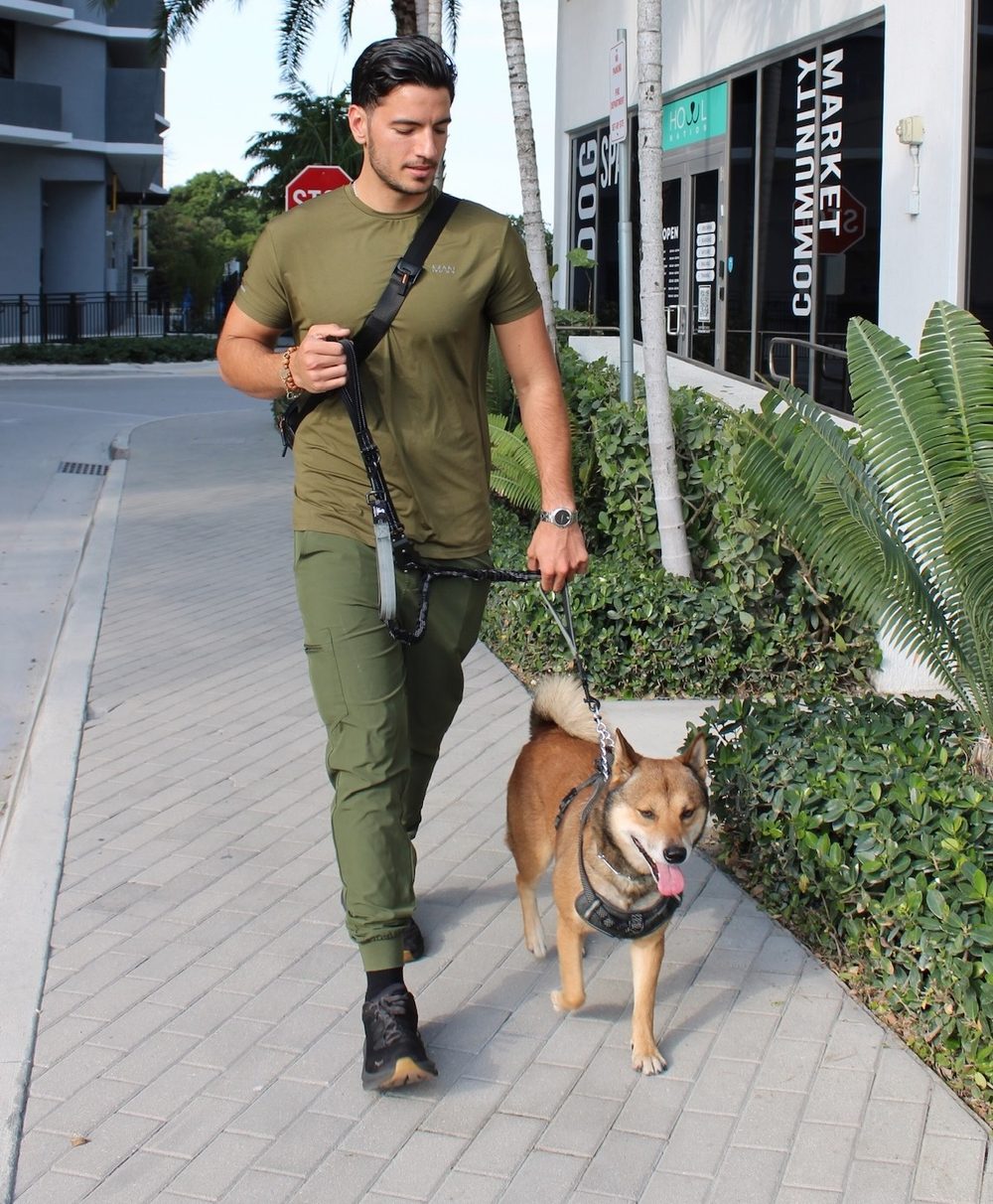 Dog walking by Howl Nation